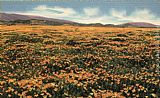 A Field of Californian Poppies by Claude Monet